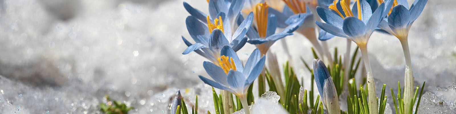 Tilaa maksuton arviokäynti